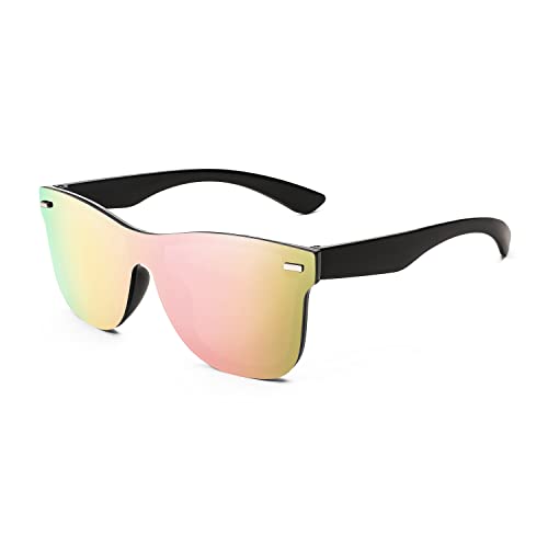 FEISEDY Polarized Sunglasses