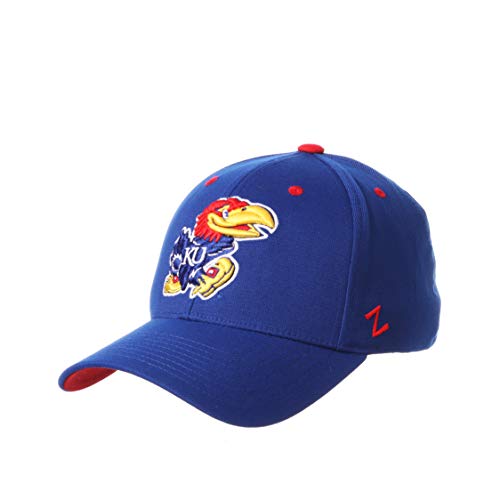 Zephyr Men's Standard Stretch Fitted Hat Team Color