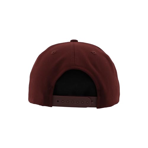 Zephyr Standard NCAA Officially Licensed Adjustable Hat Z11 Vault