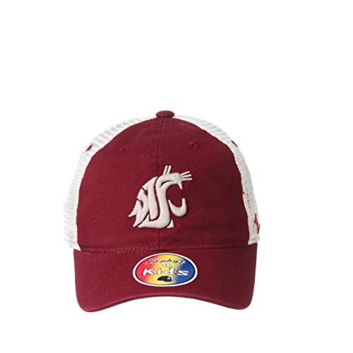 Zephyr Unisex-Youth Adjustable University Hat Kids Team Color