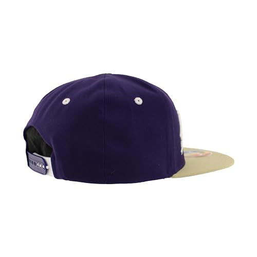 Zephyr Unisex Kid's NCAA Officially Licensed Youth Adjustable Hat Z11 Yonkers