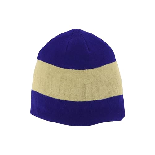 Zephyr Standard NCAA Officially Licensed Beanie Reverse