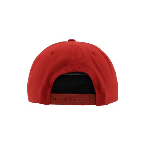 Zephyr Standard NCAA Officially Licensed Adjustable Hat Z11 Vault