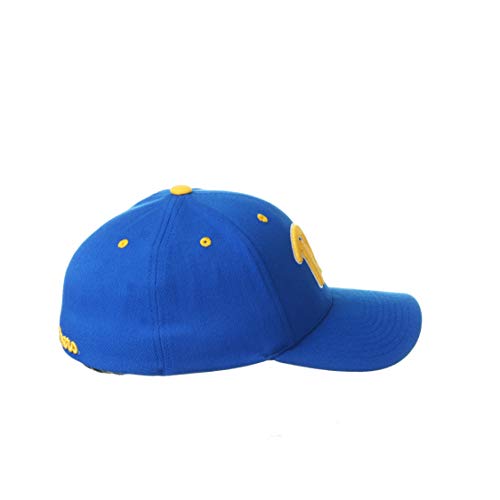 Zephyr Men's Standard Stretch Fitted Hat Team Color