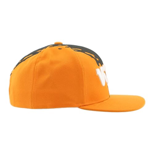 ZHATS Standard NCAA Officially Licensed Hat Flat Snapback Z11 Retro Paintbrush