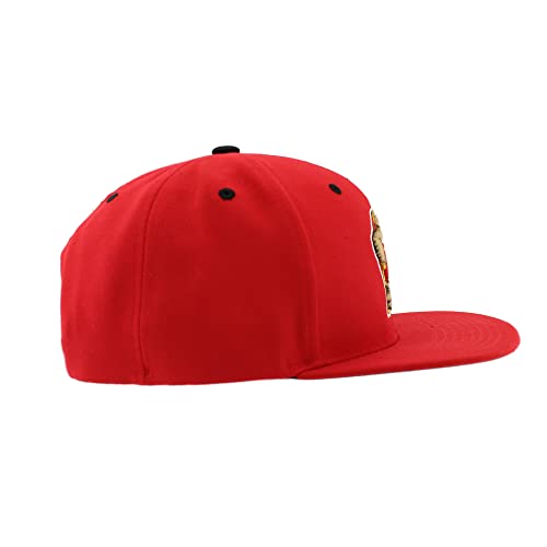 Zephyr Standard NCAA Officially Licensed Snapback Hat Flat Brim Z11