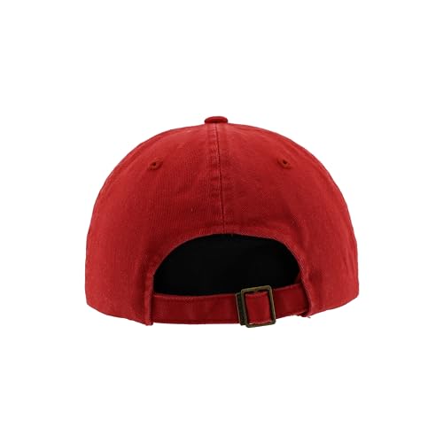Zephyr Standard NCAA Officially Licensed Hat Scholarship Arch Team Color