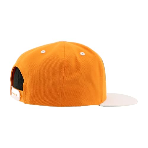ZHATS Standard NCAA Officially Licensed Hat Flat Snapback Z11 Retro Flashback