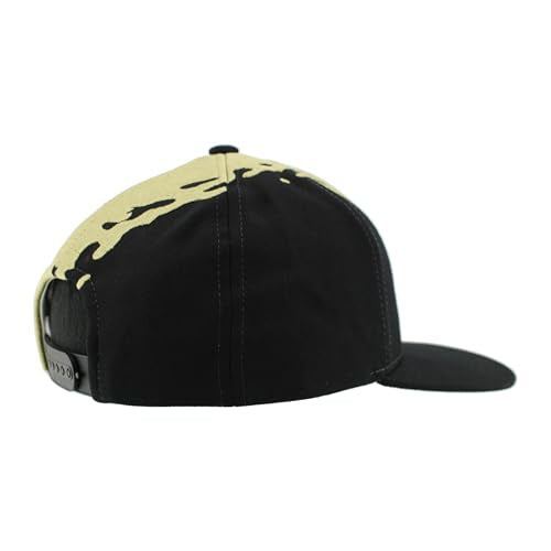 ZHATS Standard NCAA Officially Licensed Hat Flat Snapback Z11 Retro Paintbrush
