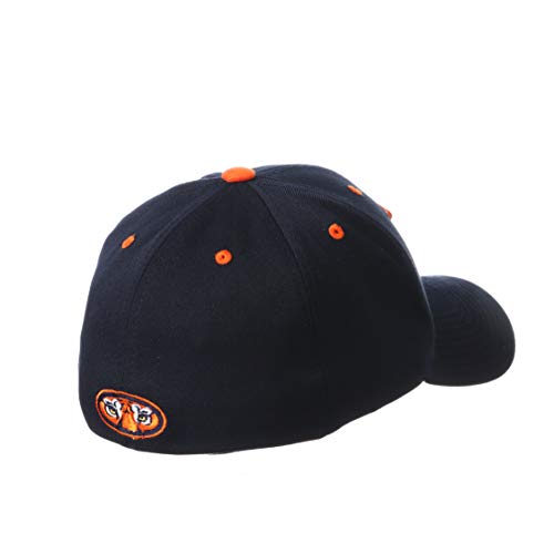 Zephyr Men's Standard Stretch Fitted Hat Team Color