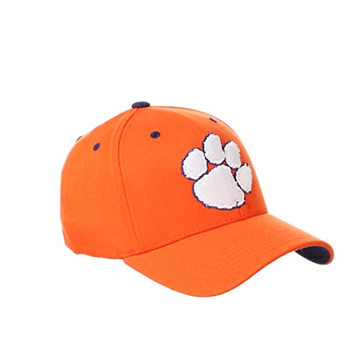 Zephyr Men's Standard Stretch Fitted Hat Team Color