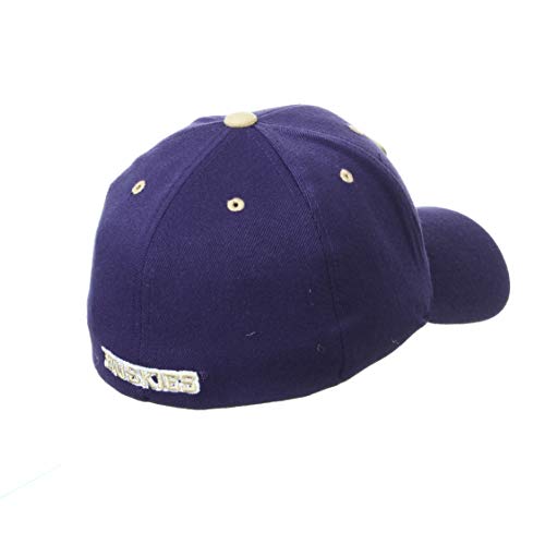 Zephyr Men's Standard Stretch Fitted Hat Team Color