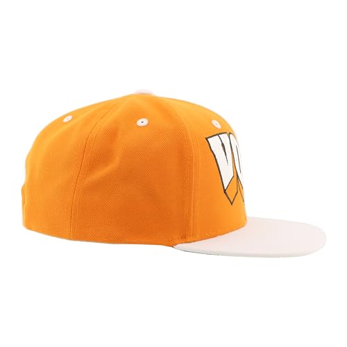 ZHATS Standard NCAA Officially Licensed Hat Flat Snapback Z11 Retro Flashback