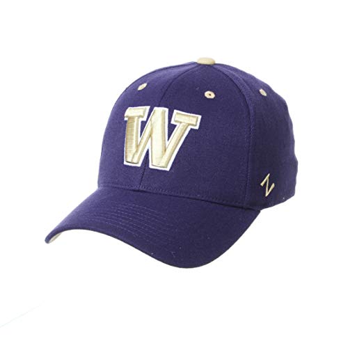 Zephyr Men's Standard Stretch Fitted Hat Team Color