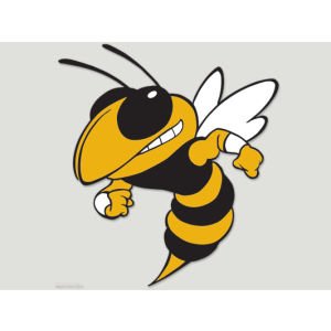 Wincraft NCAA Georgia Tech Perfect Cut Color Decal