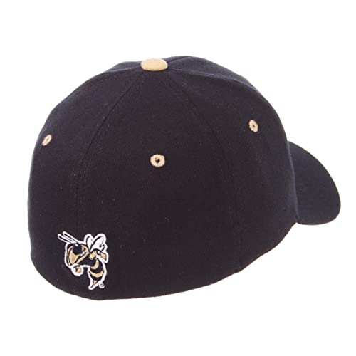 Zephyr Men's Standard Stretch Fitted Hat Team Color