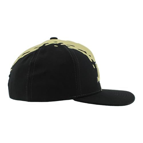 ZHATS Standard NCAA Officially Licensed Hat Flat Snapback Z11 Retro Paintbrush
