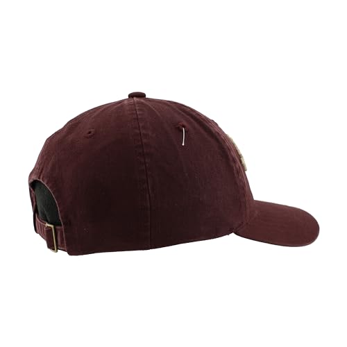Zephyr Standard NCAA Officially Licensed Hat Scholarship Arch Team Color