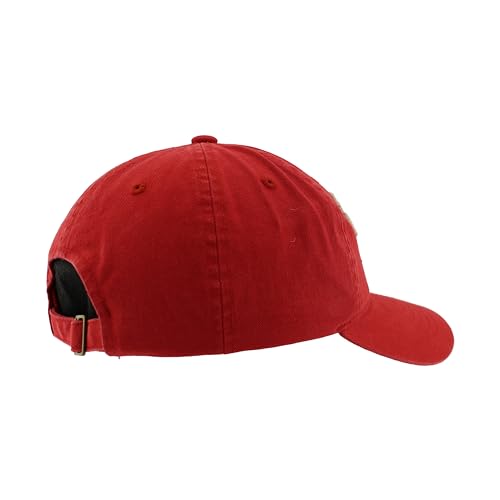 Zephyr Standard NCAA Officially Licensed Hat Scholarship Arch Team Color