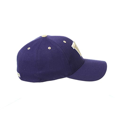 Zephyr Men's Standard Stretch Fitted Hat Team Color