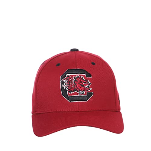Zephyr Men's Standard NCAA Officially Licensed Stretch Fit Hat ZH