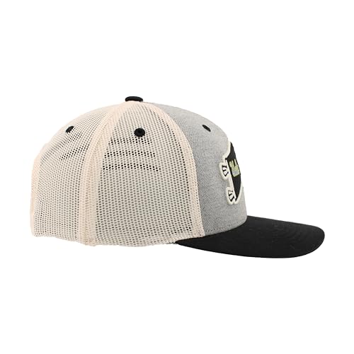 Zephyr Standard NCAA Officially Licensed Hat Snapback Estate Renown