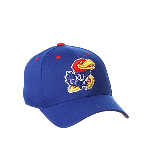 Zephyr Men's Standard Stretch Fitted Hat Team Color