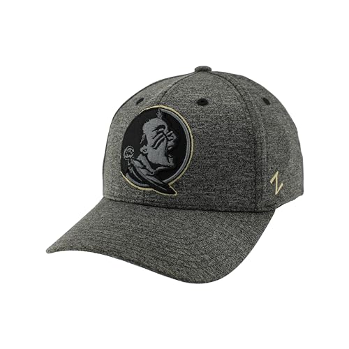 Zephyr Men's Standard NCAA Officially Licensed Hat Somber Fog