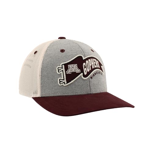Zephyr Standard NCAA Officially Licensed Hat Snapback Estate Renown