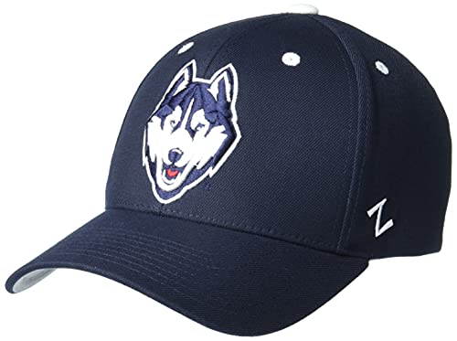 Zephyr Men's Standard Stretch Fitted Hat Team Color