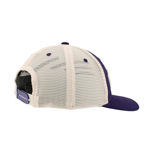 Zephyr Standard NCAA Officially Licensed Hat Snapback Harvest Curvature