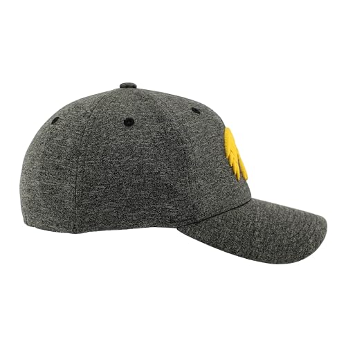 Zephyr Men's Standard NCAA Officially Licensed Hat Somber Fog