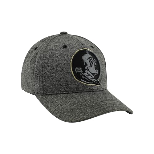 Zephyr Men's Standard NCAA Officially Licensed Hat Somber Fog