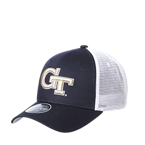 Zephyr Men's Standard Adjustable Snapback Hat Big Rig