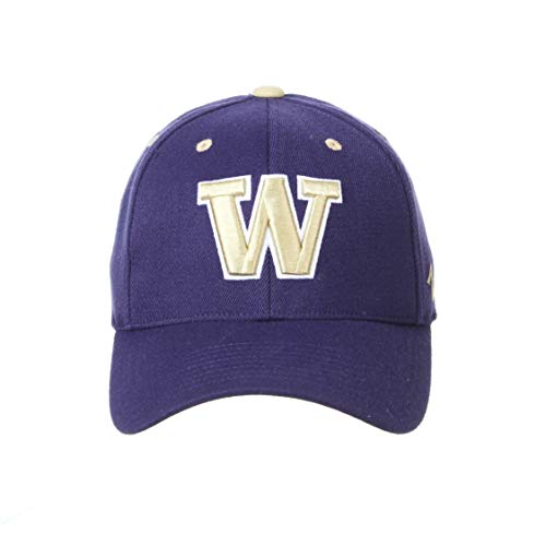 Zephyr Men's Standard Stretch Fitted Hat Team Color