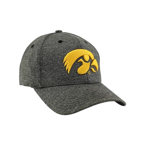 Zephyr Men's Standard NCAA Officially Licensed Hat Somber Fog