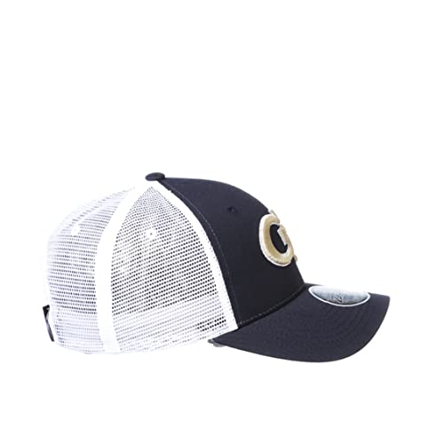 Zephyr Men's Standard Adjustable Snapback Hat Big Rig