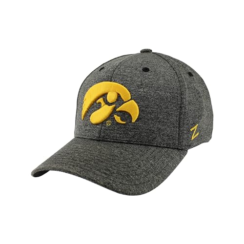 Zephyr Men's Standard NCAA Officially Licensed Hat Somber Fog