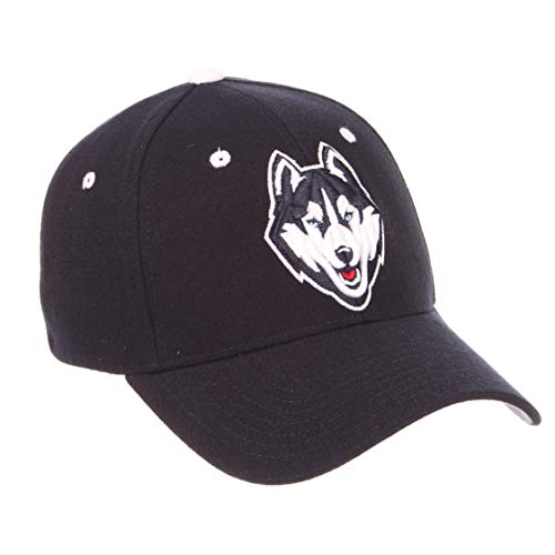 Zephyr Men's Standard Stretch Fitted Hat Team Color