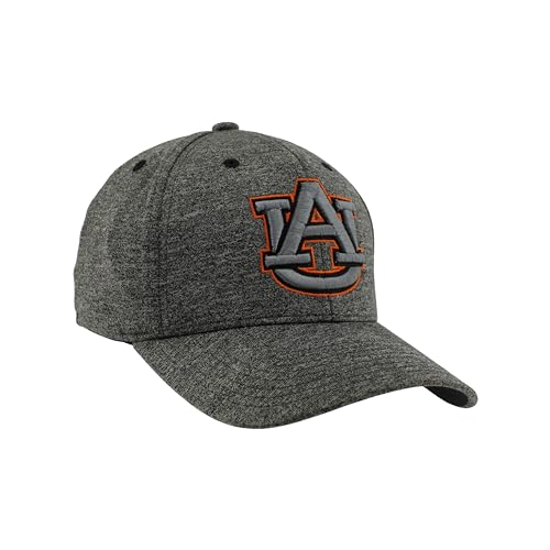 Zephyr Men's Standard NCAA Officially Licensed Hat Somber Fog