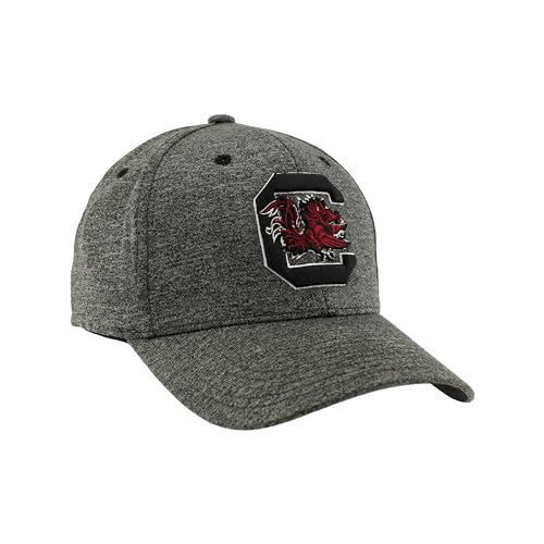 Zephyr Men's Standard NCAA Officially Licensed Hat Somber Fog