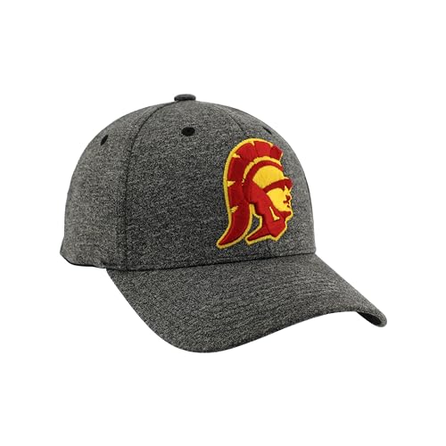 Zephyr Men's Standard NCAA Officially Licensed Hat Somber Fog