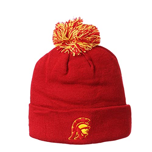 Zephyr Men's Pom Knit Beanie