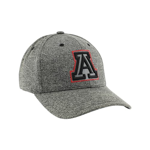 Zephyr Men's Standard NCAA Officially Licensed Hat Somber Fog