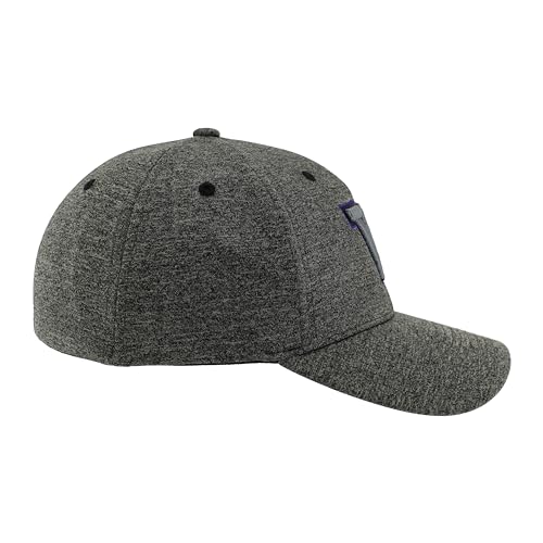Zephyr Men's Standard NCAA Officially Licensed Hat Somber Fog