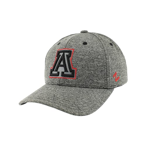 Zephyr Men's Standard NCAA Officially Licensed Hat Somber Fog