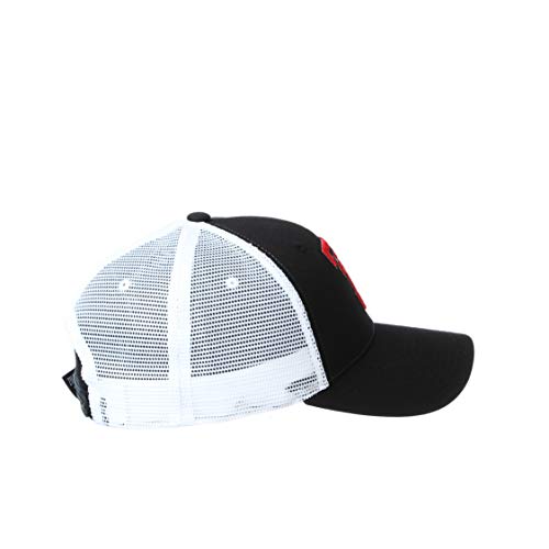 Zephyr Men's Standard Adjustable Snapback Hat Big Rig