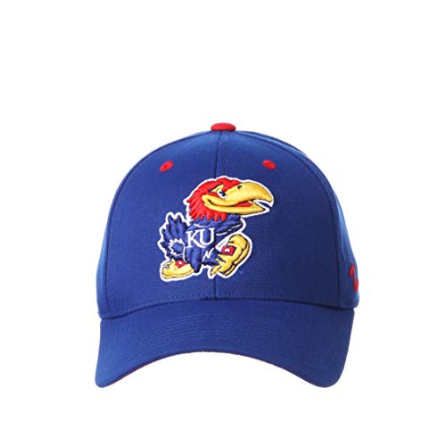 Zephyr Men's Standard Stretch Fitted Hat Team Color