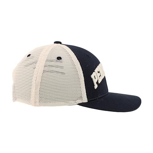 Zephyr Standard NCAA Officially Licensed Hat Snapback Harvest Curvature