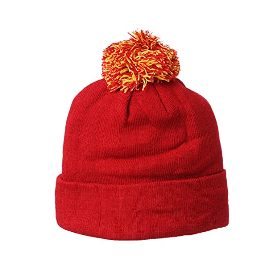 Zephyr Men's Pom Knit Beanie